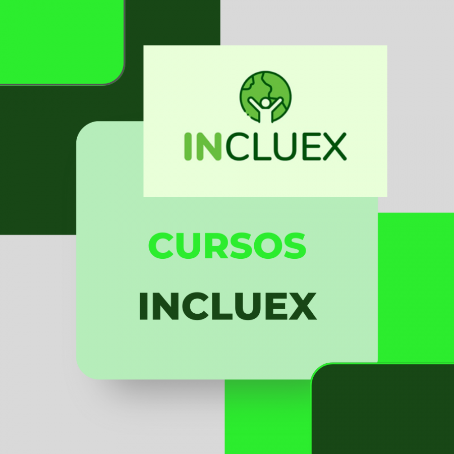 CURSOS INCLUEX EDUCACIONAL